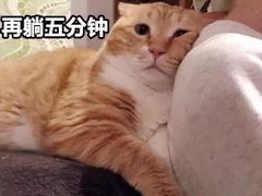 -马洛雷勒花园