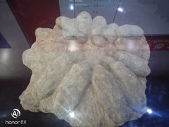 -中国西峡恐龙遗迹园