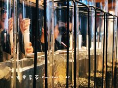 -喜茶(北京三里屯太古里店)