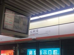 -红树湾(地铁站)