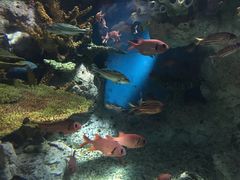 -福州罗源湾海洋世界旅游区