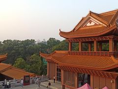 -深圳仙湖植物园