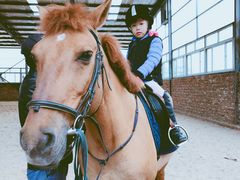 -福娃禧娃幼儿园