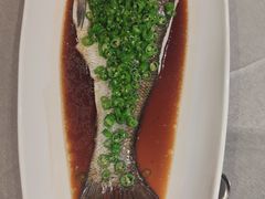 -新光酒家·河豚·海鲜·蟹料理(浦东店)
