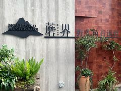 -蘑界·野生菌火锅(深业上城店)