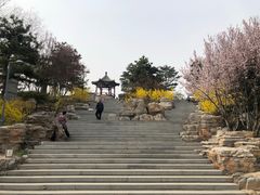 -大兴滨河森林公园