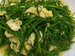 -范记靖远羊羔肉(博物馆店)