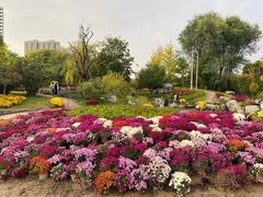 -陕西省西安植物园