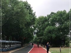 -艾溪湖湿地公园