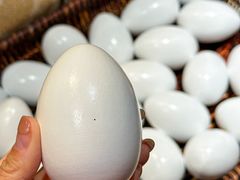 -禾田烤包子·新疆菜(人民电影院店)