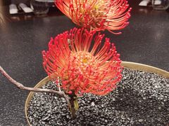 -大拙里·精致融合菜(沙湖桃源国际店)