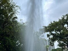 -九龙公园