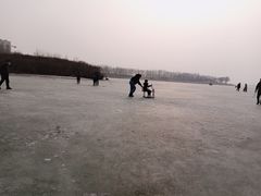 -丁香湖公园