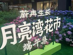-瑞虹新天地月亮湾