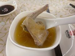 -百利鸽王(紫薇路店)