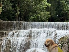 -西岭雪山大飞水景区