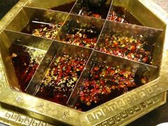 android_upload_pic-蜀九香火锅(彩虹店)