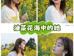 -光明小镇欢乐田园