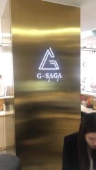 -G-SAGA形象设计