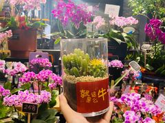 -豆豆花艺(新光天地店)