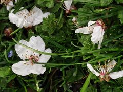 -唐城墙遗址公园