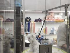 -它主义宠物(梁溪万达店)