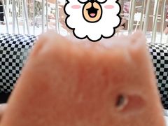 -春天烤肉自助餐厅(南内环店)