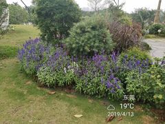-东莞植物园