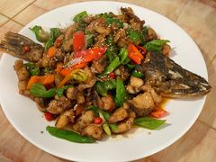 -煲来饱去冷水鱼