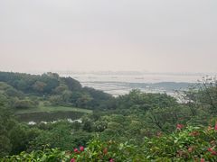 -广州莲花山旅游区