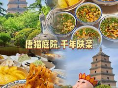 -唐猫庭院·千年陕菜(大唐不夜城店)