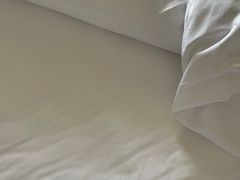 -海口喜来登酒店