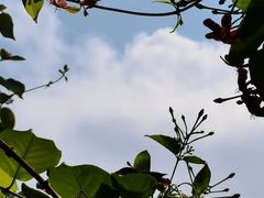 -泉眼温泉