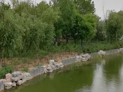 -大兴滨河森林公园