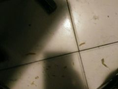 -帽儿山漂流