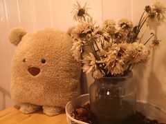 -灯塔咖啡馆BOOK·Coffee Shop