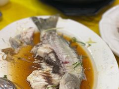 -鸿达渔港