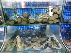 -蟹谢蒸鲜自助餐厅