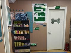 -天使宠物医院·犬猫分诊(彩虹店)