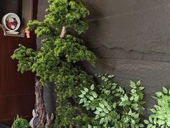 -俏东方·海味水饺·青岛菜(崂山店)