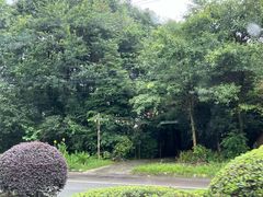 -都江堰景区