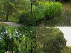 -新江湾城公园