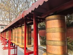 -护国法轮寺