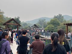 -石家庄市动物园