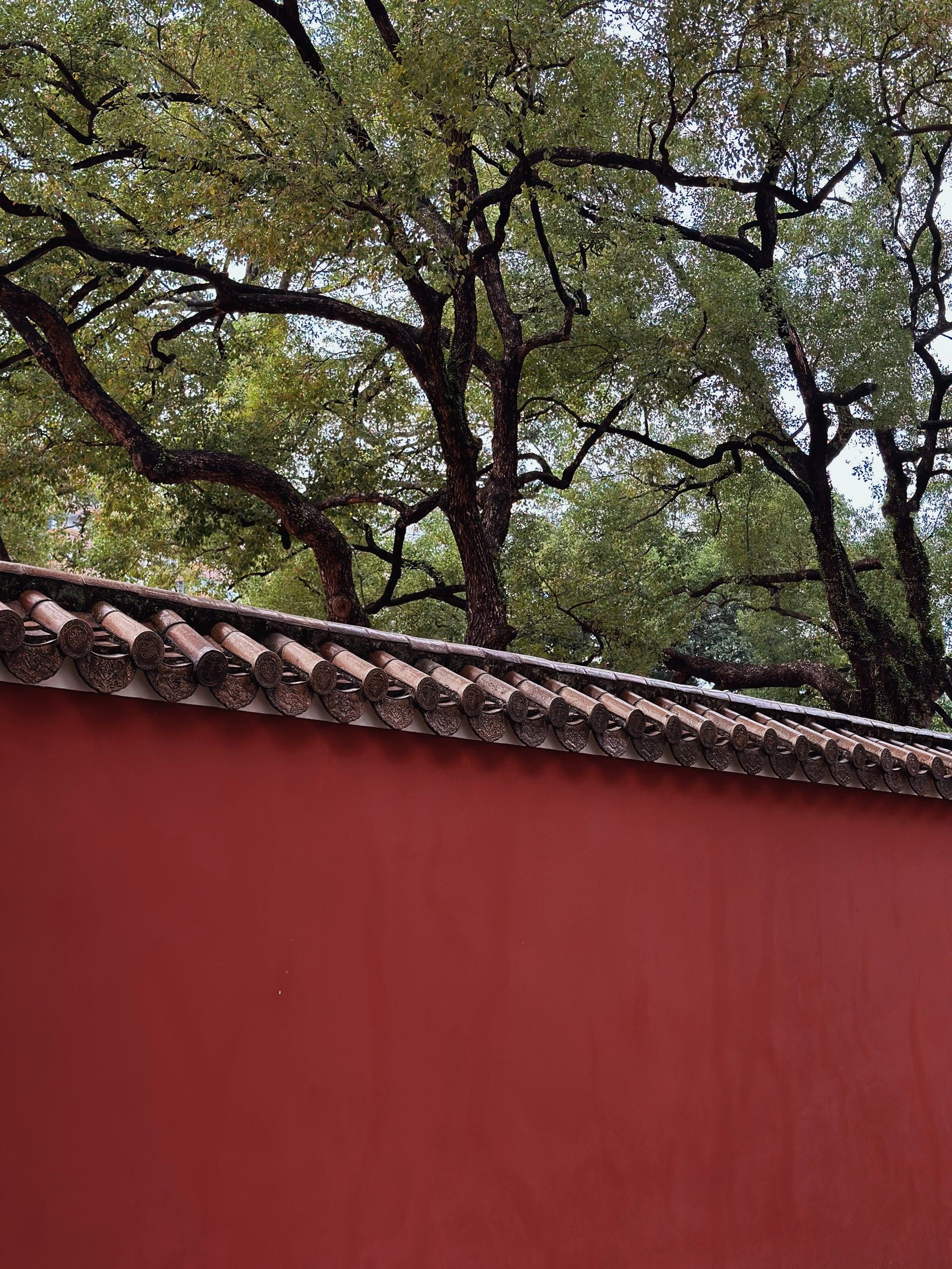 🚇地铁直达 不出广州也能拍到古色古香的"故宫"红墙