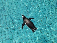 -上海野生动物园