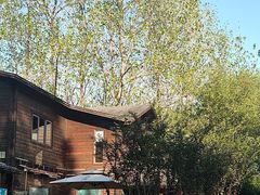 -合肥滨湖国家森林公园