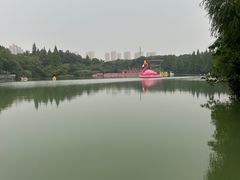 -青枫公园