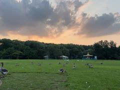 -银树楼(紫玉山庄东区店)