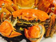 清蒸大闸蟹-王宝和酒家(黄浦店)